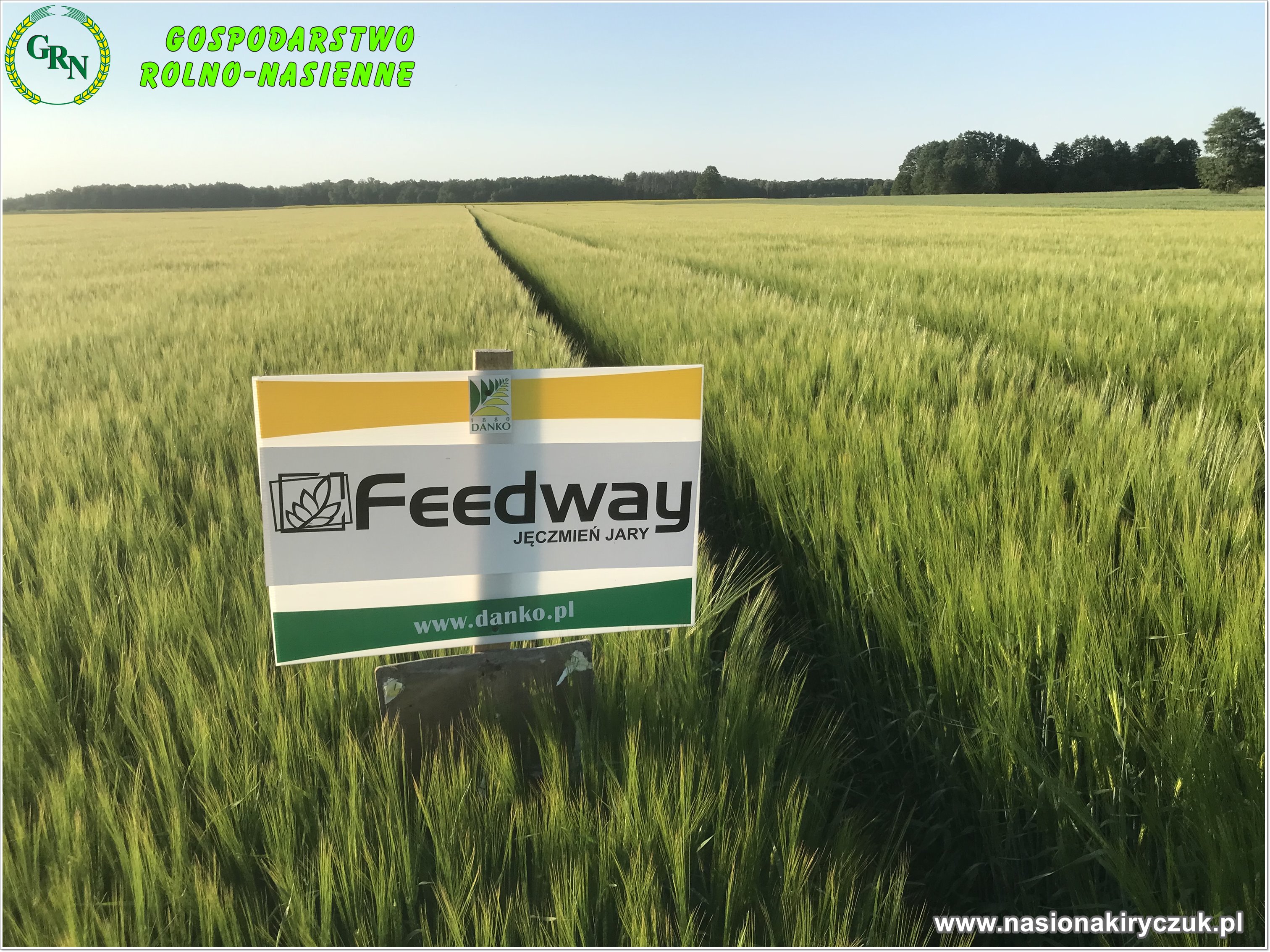 Feedway1
